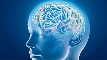 Beyin Cerrahi Özellikleri ve Faydaları Nelerdir?